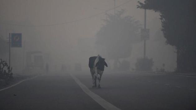 Thick smog engulfs the atmosphere in Delhi, the morning after Diwali. Amongst the suburbs, Anand Vihar had the highest PM10 reading at 2402 and was seen as the most polluted spot in Delhi. (Burhaan Kinu / HT Photo)