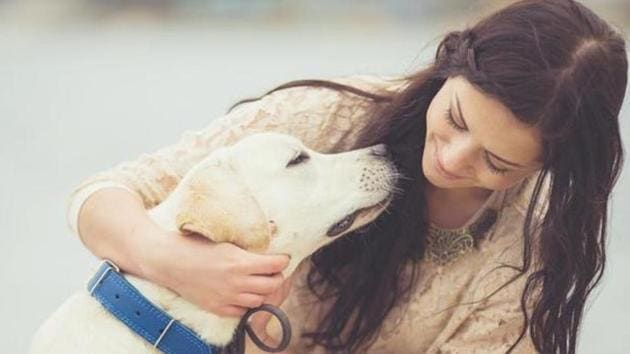 The team discovered that dogs “move their faces” more when humans were paying attention to them. (Shutterstock) The team discovered that dogs “move their faces” more when humans were paying attention to them. (Shutterstock)