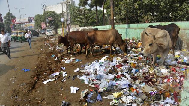 Under the door-to-door solid waste collection initiative, 80 new hopper tipper vehicles were inducted on Sunday. The corporation now has a fleet of 94 such vehicles, along with 200 tricycles and handcarts. (Sakib Ali/HT Photo)