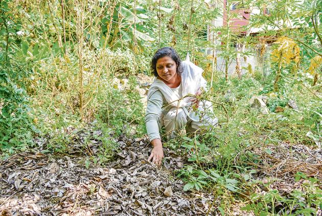 Sujata Naphade, the ardent gardener who cultivated various crops using only dry leaves as compost, at her organic farm located near Pashan-Sus road.(Sanket Wankhade/HT PHOTO)