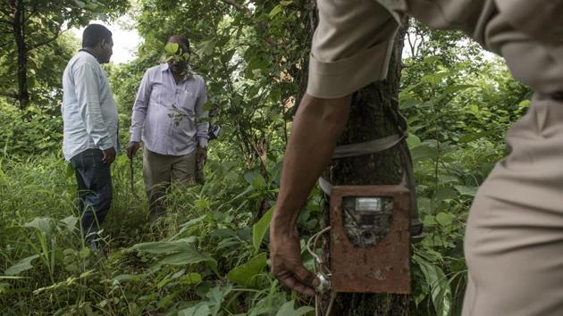 Forest officials set a camera trap to trace leopard movement. A 2015 SGNP survey says there are 35 leopards in and around the national park and Aarey is among their dominant habitats. Earlier this month, the forest department trapped one at Film City, which they claim was responsible for all attacks since March this year. The tribals however, disagree saying that there are at least three to four leopards that live close to each hamlet. (Satish Bate / HT Photo)