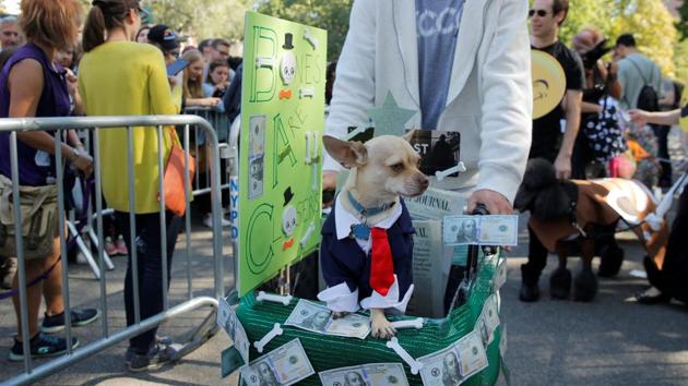 On the other hand, this ‘Wolf of Wall Street’ has eyes set on the money with the parade taking place not far from the actual Wall Street in New York. (Lucas Jackson / REUTERS)