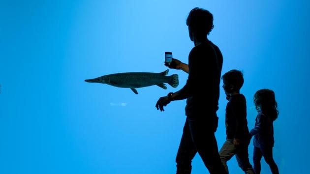 People walk next to one of the 46 individual aquariums in Aquatis. Supported by the AQUATIS foundation, the project aims to increase awareness of nature and aquatic environments within the city of Lausanne and will drive educational initiatives through interactive activity programmes and workshops with specialist guest speakers. (Fabrice Coffrini / AFP) People walk next to one of the 46 individual aquariums in Aquatis. Supported by the AQUATIS foundation, the project aims to increase awareness of nature and aquatic environments within the city of Lausanne and will drive educational initiatives through interactive activity programmes and workshops with specialist guest speakers. (Fabrice Coffrini / AFP)