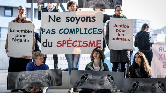 On opening day, Aquatis also attracted criticism from animal rights groups. Anti-speciesism activists on-site held banners that read, ‘Together for equality’ (L), ‘We are not accomplice in speciesism’(C) and ‘Justice for animals’ during a demonstration. (Fabrice Coffrini / AFP) On opening day, Aquatis also attracted criticism from animal rights groups. Anti-speciesism activists on-site held banners that read, ‘Together for equality’ (L), ‘We are not accomplice in speciesism’(C) and ‘Justice for animals’ during a demonstration. (Fabrice Coffrini / AFP)