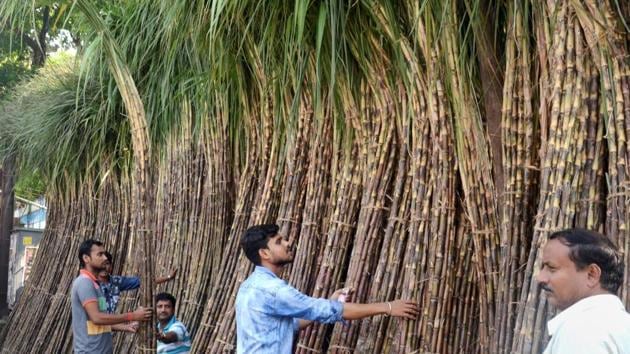 In Kolkata people buy sugarcane from a market ahead of Chhath Puja on Monday. Devotees during this period strive towards purity and live frugally. (PTI)