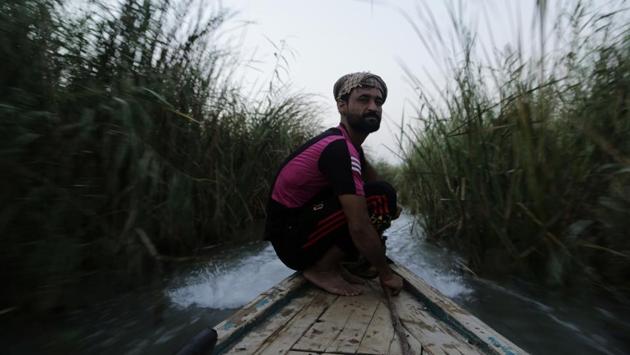 A young man drives a boat through towering reeds in the marsh of Chabaish, Iraq. The marshes, a lush remnant of the cradle of civilization, were reborn after the 2003 fall of Saddam Hussein when residents dismantled dams he had built a decade earlier to drain the area in order root out Shiite rebels. (Susannah George / AP)