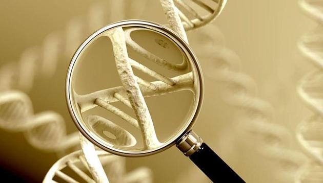 Representative photo of human DNA. Blood is a dependable source to test DNA.(Shutterstock)