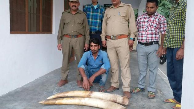 Forest personnel with the recovered tusks on Friday.(HT Photo) Forest personnel with the recovered tusks on Friday.(HT Photo)