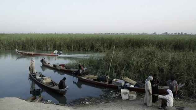 Fisherman gather in the morning at an ad hoc market along a main canal in the marsh of Chabaish from where merchants buy fish to transport and sell to markets in the nearby cities of Nassariyah and Najaf in Iraq’s south. (Susannah George / AP)