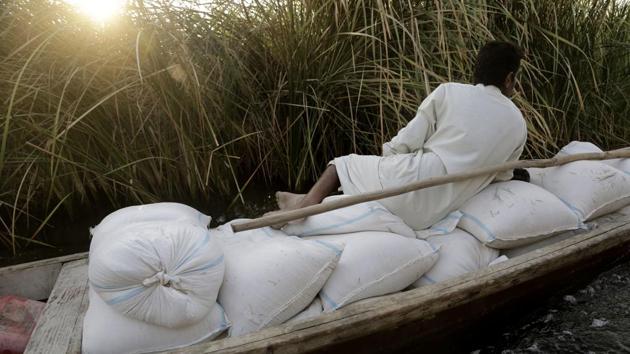 A farmer transports feed for livestock along a canal in Iraq’s southern marshes in Chabaish. The majority of the wetland’s inhabitants raise water buffalo and fish to support their families, but due to decreased water quality and low fish yields, the region is mired in poverty. (Susannah George / AP)