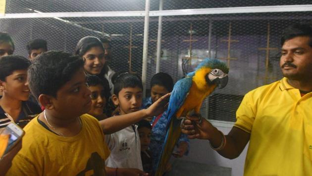 Visitors watch Blue Gold Macaw at 'World of Wings', an exhibition of unique birds at Ganesh Kala Krida hall in Pune. (Pratham Gokhale/HT Photo) 