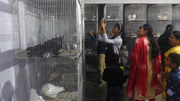 Visitors clicking pictures at the 'World of Wings', an exhibition of unique birds at Ganesh Kala Krida hall in Pune. (Pratham Gokhale/HT Photo) 