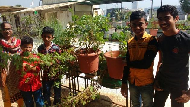 The church uses composted manure for its terrace garden.(HT) The church uses composted manure for its terrace garden.(HT)