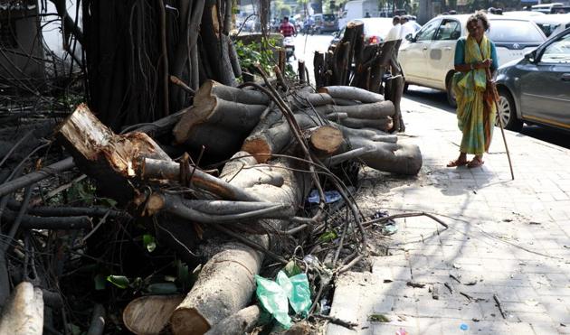 Trees cut by PMC along the University road in Pune on Sunday.(Rahul Raut/HT PHOTO)