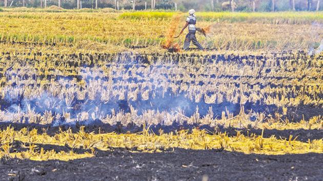 The green tribunal had taken exception to the fact that even after more than two years, nothing substantial was done with regard to stubble burning.(Gurpreet Singh/HT File Photo)