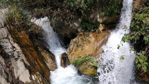 A view of Rispana river’s source. (HT Photo) A view of Rispana river’s source. (HT Photo)
