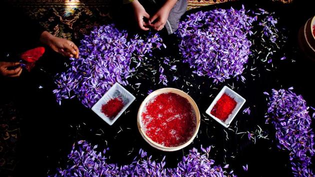 Women separate stigma from the saffron crocus, during a harvest near the village of Goriyan in Herat, Afghanistan on November 08, 2010. Over the past decade, Afghanistan has tried to give farmers alternative cash crops such as fruits and saffron to wean them away from poppy farming --the lifeblood of the Taliban insurgency. Despite counter-narcotic efforts shifts towards saffron have shown little results. (Majid Saeedi / Getty Images)