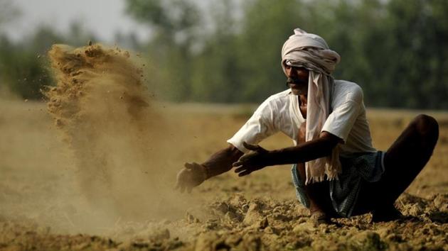 The agricultural cooperative societies cater to fertiliser needs of 95% of the farmers who are into wheat cultivation. (HT File Photo) The agricultural cooperative societies cater to fertiliser needs of 95% of the farmers who are into wheat cultivation. (HT File Photo)