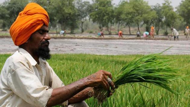Labourers spending 14% of their loan amount to meet the basic need of food. (HT Representative) Labourers spending 14% of their loan amount to meet the basic need of food. (HT Representative)