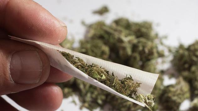Marijuana is often discussed as a relatively safe and even therapeutic substance. (Shutterstock) Marijuana is often discussed as a relatively safe and even therapeutic substance. (Shutterstock)