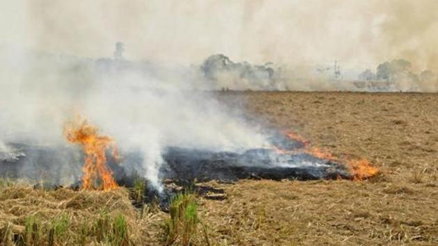 There are reports that farmers have set afire their fields after failing to save their crop from pests.(HT/Representative Photo)
