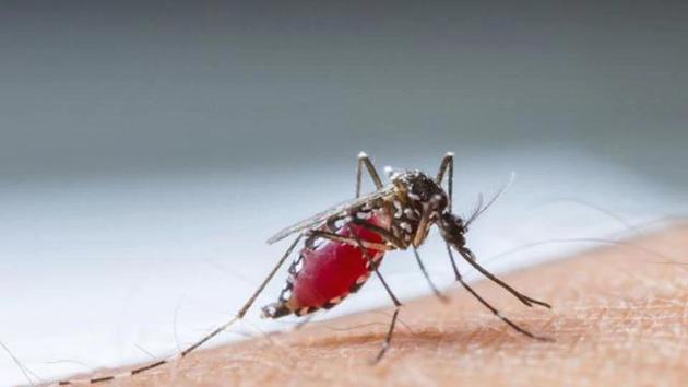 Out of the suspected cases, 8,374 patients were reported as confirmed cases of dengue. Of these, 5,365 were cured and discharged from hospitals till October 30. (HT Representative) Out of the suspected cases, 8,374 patients were reported as confirmed cases of dengue. Of these, 5,365 were cured and discharged from hospitals till October 30. (HT Representative)