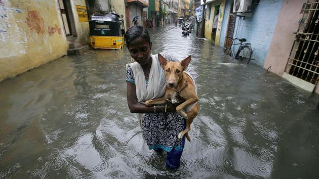A woman carries a dog as she wades through a waterlogged neighbourhood in Chennai. Incessant rains poured nearly 74% of the northeast monsoon estimate in a span of five days bringing back memories of the 2015 deluge. (P. Ravikumar / REUTERS)