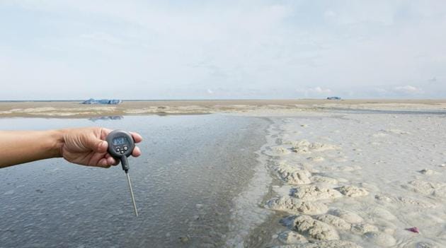 Environmental toxins may be depressing the function of our circadian clock.(Shutterstock)