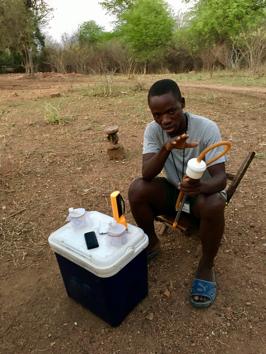 Joba Edward is one of the volunteer human mosquito traps. As part of a Zambia health ministry study, he is paid to sit outdoors from 6 pm to 6 am in shorts and a T-shirt, to catch live mosquitoes as they bite him, using a mouth aspirator. Each volunteer is given a dose of deltaprim to prevent malarial infection. Joba Edward is one of the volunteer human mosquito traps. As part of a Zambia health ministry study, he is paid to sit outdoors from 6 pm to 6 am in shorts and a T-shirt, to catch live mosquitoes as they bite him, using a mouth aspirator. Each volunteer is given a dose of deltaprim to prevent malarial infection.