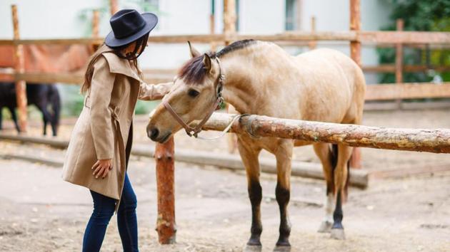 The findings enhance our understanding of how animals can communicate using body posture across the species barrier. (Shutterstock) The findings enhance our understanding of how animals can communicate using body posture across the species barrier. (Shutterstock)