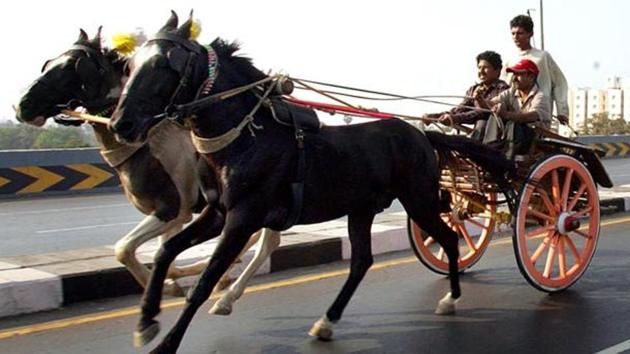 Horse carriages are banned at Nariman Point and Marine Drive, but not near Cooperage garden where the accident took place. (HT File / PHOTO USED FOR REPRESENTATIONAL PURPOSE) Horse carriages are banned at Nariman Point and Marine Drive, but not near Cooperage garden where the accident took place. (HT File / PHOTO USED FOR REPRESENTATIONAL PURPOSE)