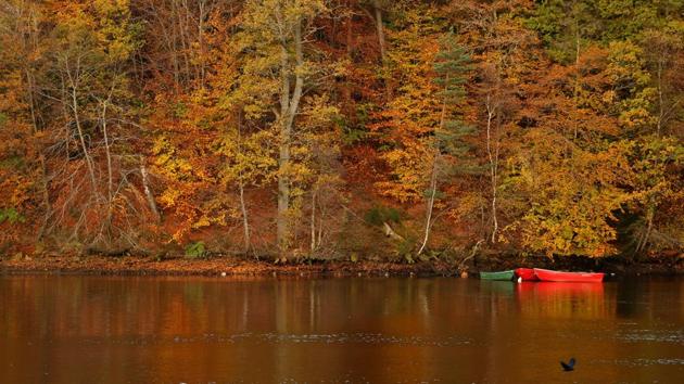 Autumnal foliage is reflected on Loch Faskally Pitlochry creates a tranquil scene in Scotland. (Russell Cheyne / REUTERS) Autumnal foliage is reflected on Loch Faskally Pitlochry creates a tranquil scene in Scotland. (Russell Cheyne / REUTERS)
