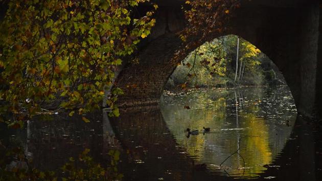 Ducks swim under an ancient stone bridge on the Arga River on an autumn evening, in Pamplona, northern Spain on Friday. (Alvaro Barrientos / AP) Ducks swim under an ancient stone bridge on the Arga River on an autumn evening, in Pamplona, northern Spain on Friday. (Alvaro Barrientos / AP)