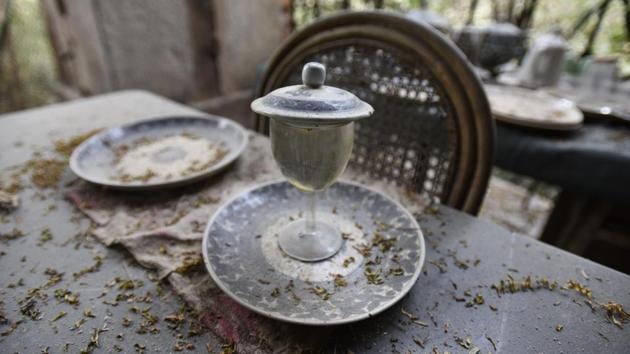 It is evident that the royal family’s possessions were decadent and until the Begum was alive, they entertained guests lavishly. However, once Raza’s sister died as well, he became a recluse, not even allowing people to come near him until he granted them permission. (Sanchit Khanna / HT Photo) It is evident that the royal family’s possessions were decadent and until the Begum was alive, they entertained guests lavishly. However, once Raza’s sister died as well, he became a recluse, not even allowing people to come near him until he granted them permission. (Sanchit Khanna / HT Photo)