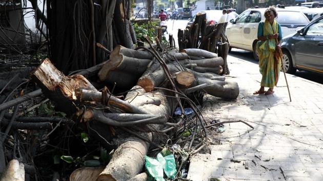 The citizens of Aundh, Baner, Shivajinagar sought justification from Shivajinagar MLA Vijay Kale about his remarks to uproot the stems of the 150-year-old banyan tree.(HT PHOTO)