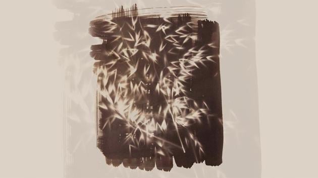 Salt print photograms of leaves and grasses from Aravallis made using salt from Sambhar lake and mixed with Silver Nitrate (Aditya Arya.) Salt print photograms of leaves and grasses from Aravallis made using salt from Sambhar lake and mixed with Silver Nitrate (Aditya Arya.)