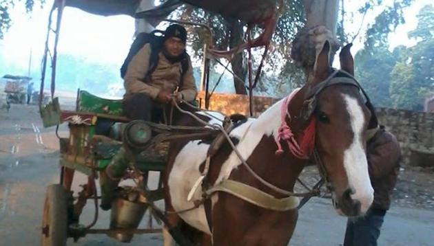 The Indian administration has decided to stop the horse-drawn carriages, citing provisions of the Prevention to Cruelty of Animals Act.(HT Photo)
