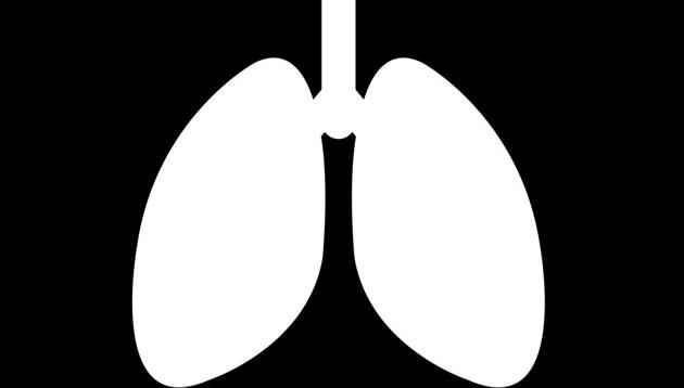 The researchers also examined the impact of double versus single lung transplant on long-term survival. (Shutterstock) The researchers also examined the impact of double versus single lung transplant on long-term survival. (Shutterstock)