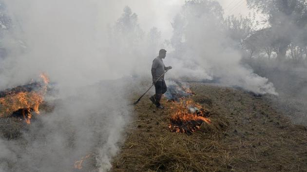 A farmer burns paddy stubble in a field on the outskirts of Jalandhar in Punjab on Friday. (AFP photo) A farmer burns paddy stubble in a field on the outskirts of Jalandhar in Punjab on Friday. (AFP photo)