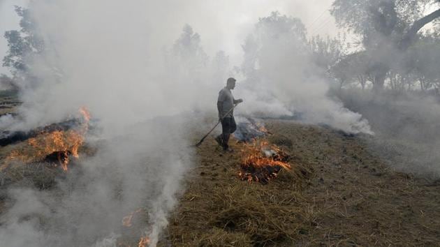 A farmer burns paddy stubble in a field on the outskirts of Jalandhar, Punjab, on November 10, 2017.(AFP Photo)
