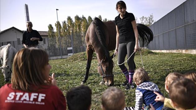 Children are introduced to the world of horses at the Bollate Penitentiary’s nursery. With no distinction made between the children, the nursery sends a message about integration and breaking down walls. Inside, experts organise nature and animal-based activities, making use of the prison’s large garden and play areas. (Marco Bertorello / AFP) Children are introduced to the world of horses at the Bollate Penitentiary’s nursery. With no distinction made between the children, the nursery sends a message about integration and breaking down walls. Inside, experts organise nature and animal-based activities, making use of the prison’s large garden and play areas. (Marco Bertorello / AFP)