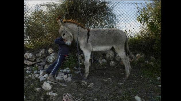 Luc Delahaye, Sumud, 2017. (© Courtesy of Luc Delahaye and Galerie Nathalie Obadia, Paris / Brussels) Luc Delahaye, Sumud, 2017. (© Courtesy of Luc Delahaye and Galerie Nathalie Obadia, Paris / Brussels)