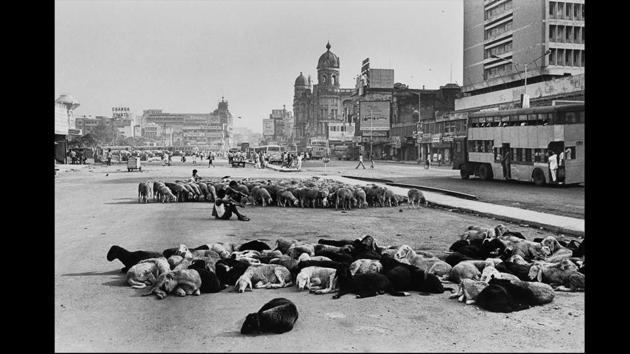 Easily India’s most iconic, recognizable photographer, Rai’s photograph, ‘Sheep at Chowringhee Square, Kolkata, 1977’ is an insight into the city during that decade. (© Raghu Rai) Easily India’s most iconic, recognizable photographer, Rai’s photograph, ‘Sheep at Chowringhee Square, Kolkata, 1977’ is an insight into the city during that decade. (© Raghu Rai)