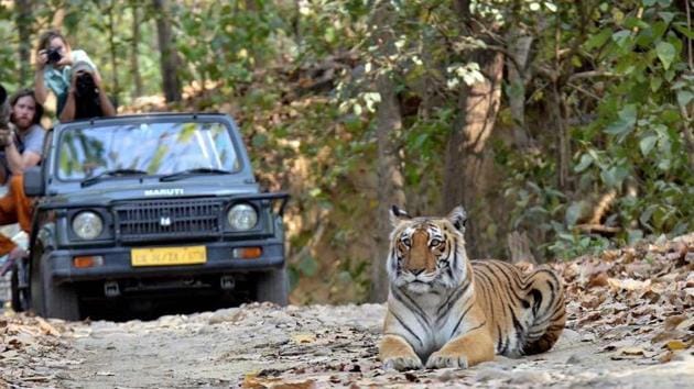 Bulk online booking for day visit and night stay at the Corbett National Park in Uttarakhand, are being done by a number people believed to be operators, blocking regular tourists. (HT File Photo.) Bulk online booking for day visit and night stay at the Corbett National Park in Uttarakhand, are being done by a number people believed to be operators, blocking regular tourists. (HT File Photo.)