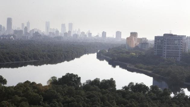 NGO Watchdog Foundation had filed a complaint with the forest department, suburban collector and Brihanmumbai Municipal Corporation (BMC) in March, alleging negligence in investigating the case. (Hindustan Times) NGO Watchdog Foundation had filed a complaint with the forest department, suburban collector and Brihanmumbai Municipal Corporation (BMC) in March, alleging negligence in investigating the case. (Hindustan Times)