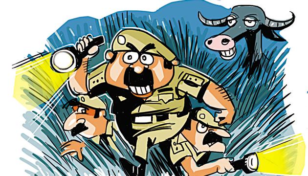 In the FIR, owner Sushil Kumar has even mentioned the colour of one of the animal’s tiny tail — black and white, divided equally over its 1.5-inch length. (Illustration: Sudhir Shetty) In the FIR, owner Sushil Kumar has even mentioned the colour of one of the animal’s tiny tail — black and white, divided equally over its 1.5-inch length. (Illustration: Sudhir Shetty)