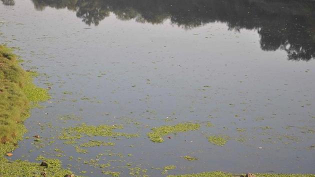 Ulhas is among the list of 49 rivers from Maharashtra that figure among the 315 most polluted in the country, a study by the Central Pollution Control Board had reported. Ulhas is among the list of 49 rivers from Maharashtra that figure among the 315 most polluted in the country, a study by the Central Pollution Control Board had reported.