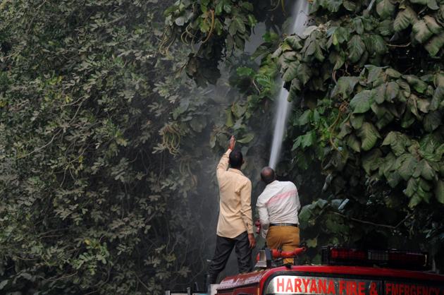 Firefighters sprinkle water on trees on a road in Sector 31/40 on Tuesday as part of measures to reduce dust pollution. (Parveen Kumar/HT PHOTO) Firefighters sprinkle water on trees on a road in Sector 31/40 on Tuesday as part of measures to reduce dust pollution. (Parveen Kumar/HT PHOTO)