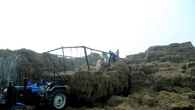 Balers are used to collect stubble. One acre produces 12-15 quintal of bales, which are sold to biomass plants between Rs 120 - Rs 130 per quintal(HT Photo)
