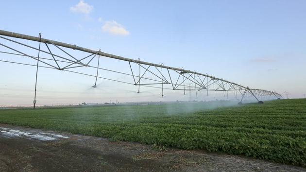 Automatic sprinklers system (Irrigation robot) Irrigates a field in Emek Hefer, Israel.(Shutterstock)
